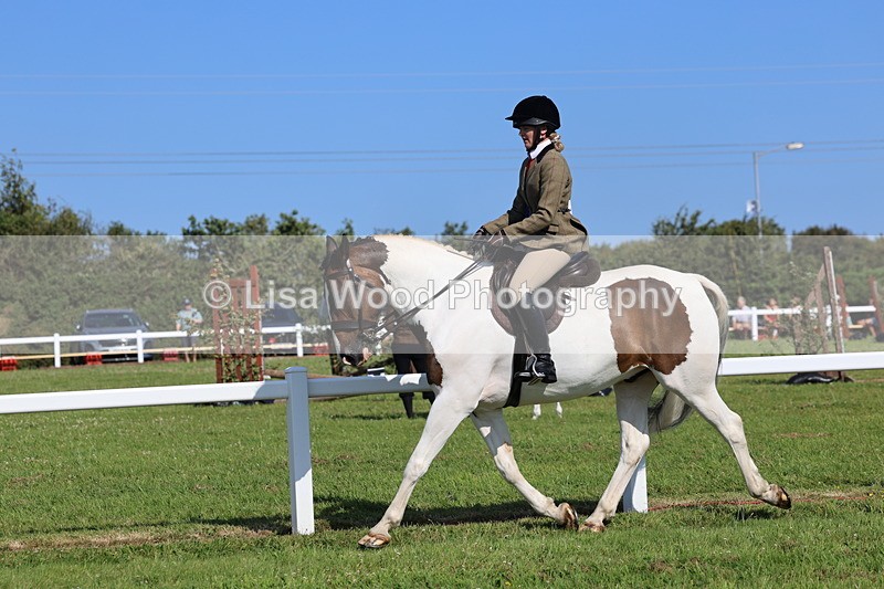 IMG_1668 - Skewbald and Piebald Ridden Championship