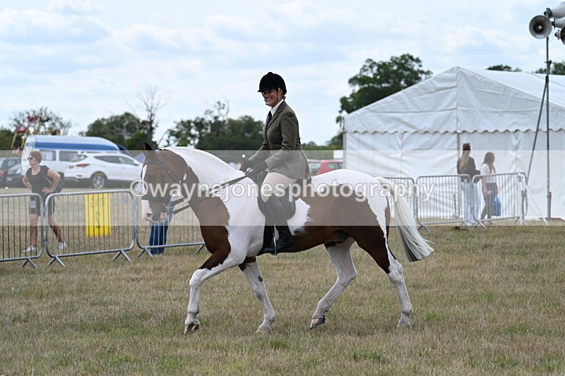 WJ7_4987 - Class 12 Ridden Cob