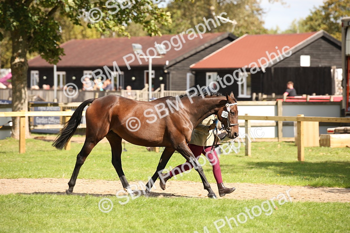 SBM_44377 - S24 - Young Veteran in hand