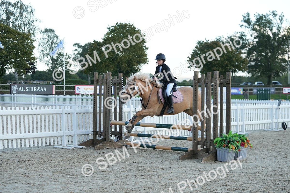 SBM_54204 - Supreme Championship 60cm 65cm