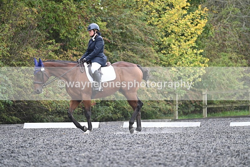 WJ7_6453 - Time 14:49 to 15:14