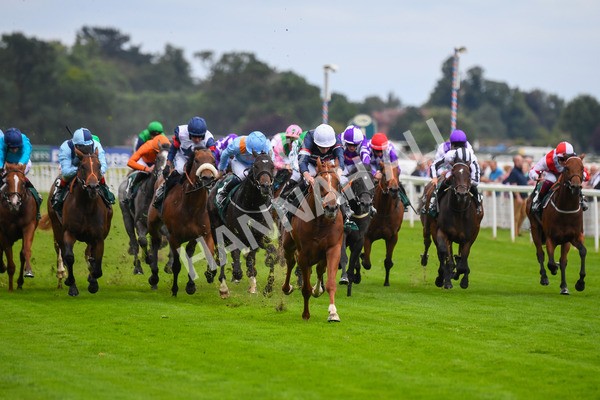 240823-Race 2-Dragon Leader-0203 - Race 2 2.25pm Goffs UK Harry Beeby Premier Yearling Stakes