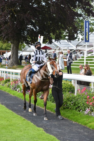 yr09072021r6-15 - Race 6 4.55pm Longines Irish Champions Weekend Stakes