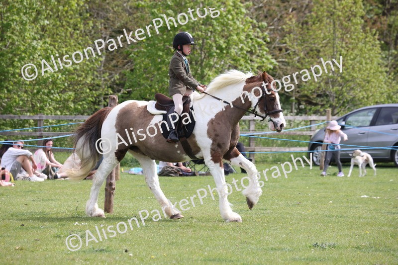 20260426-4353 - Class 34 - Best Riding Horse Over 14.2hh