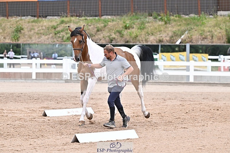 250716-134329-00656 - Trot Up 1.30 to 2.30