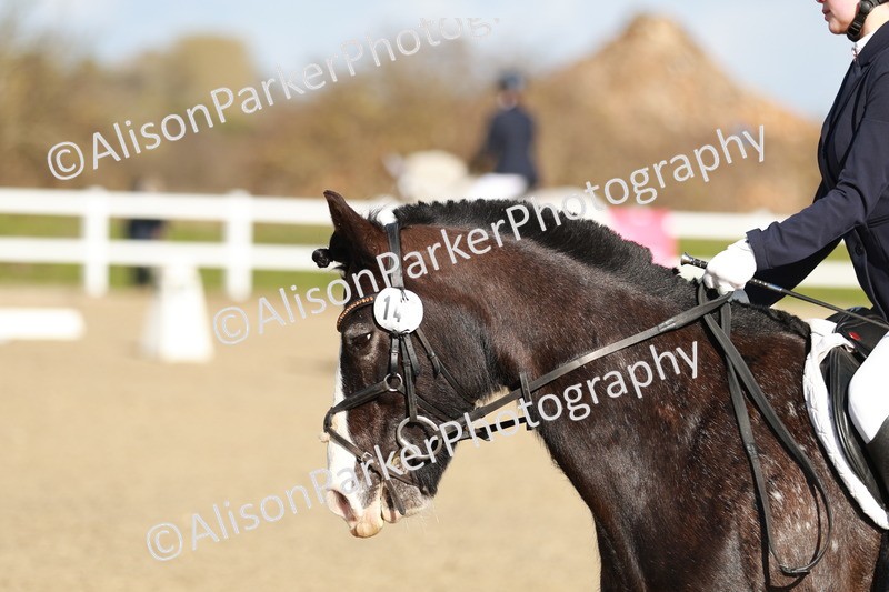 20260314-4536 - DR4 - Prelim 2