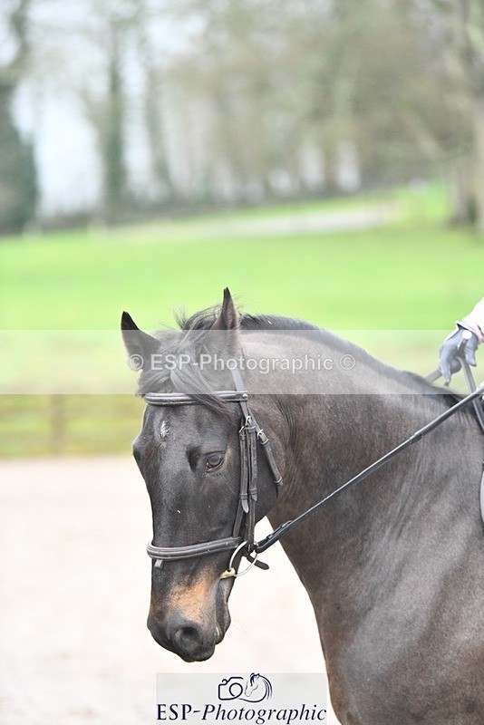 240218-102924-01888 - SJ 9 to 10