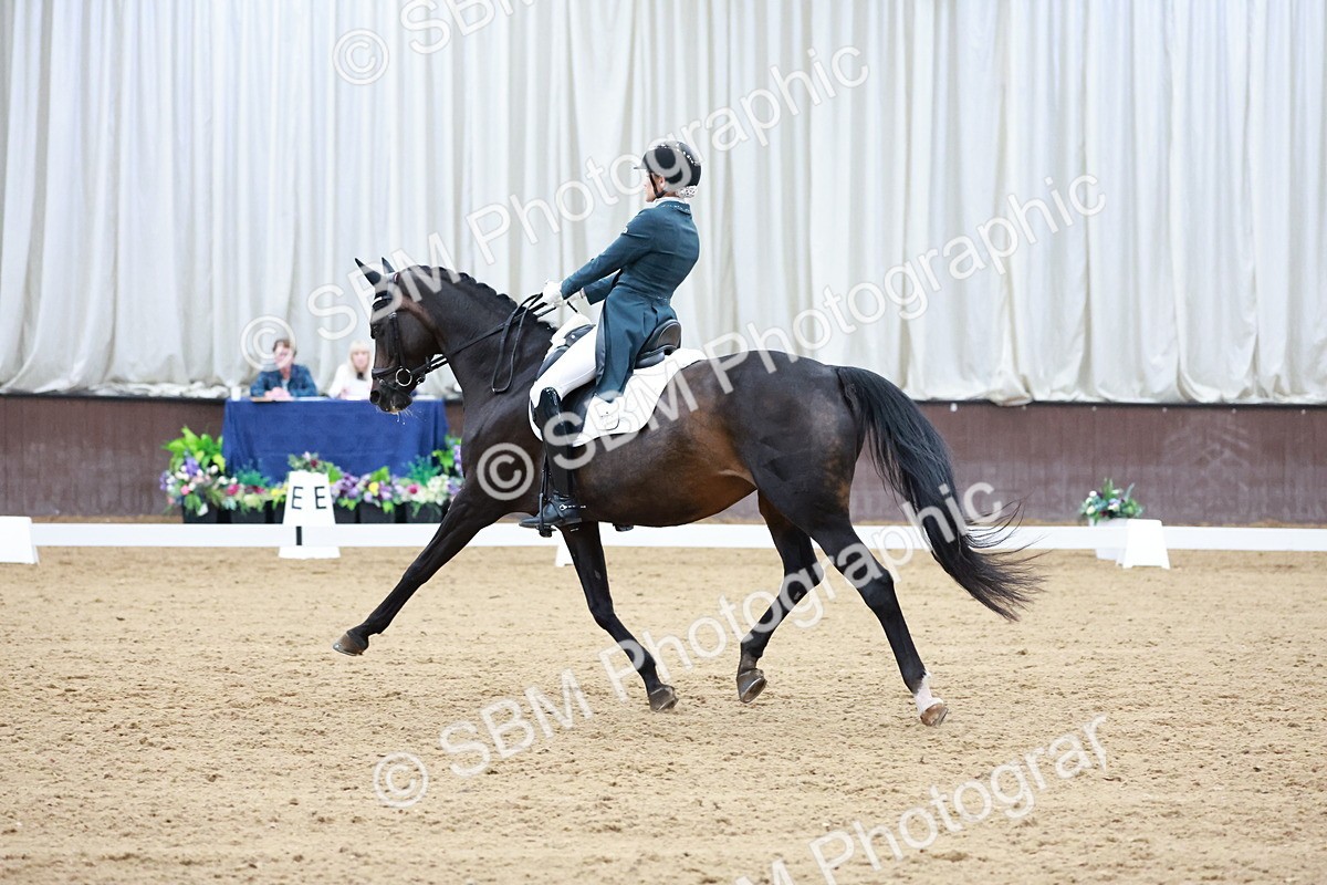 SBM_020151 - Class 12 - FEI PSG - 14.12-15.00