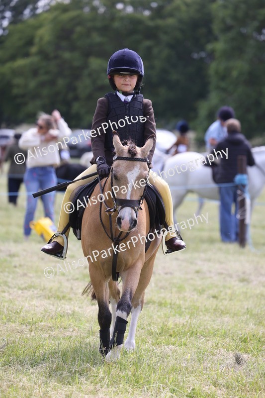 20260614-1879 - Class 21 - Novice Working Hunter Pony