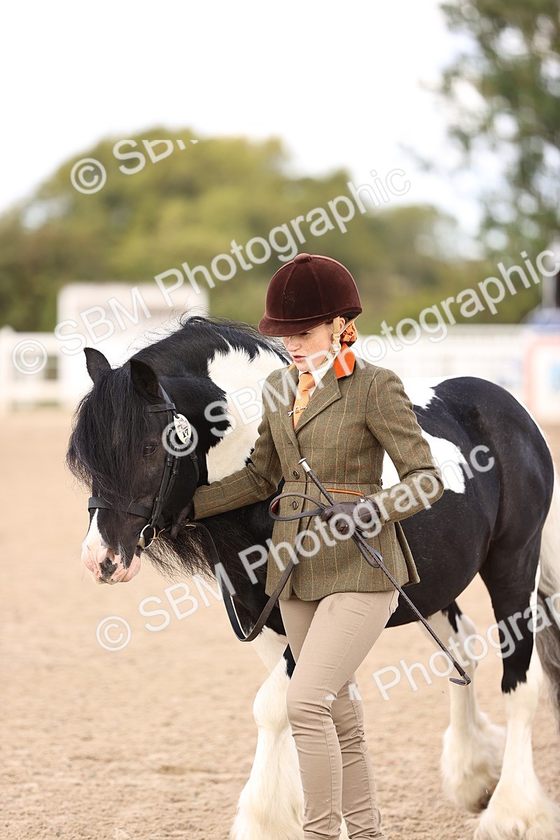 SBM_09318 - Class 404 - IH Traditional - Native Cob