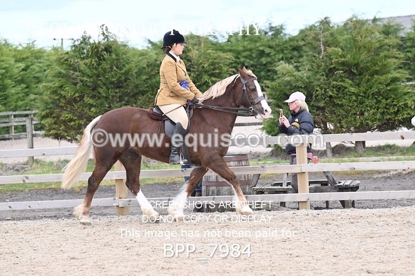 BPP_7984 - SUPREME CHAMPIONSHIP