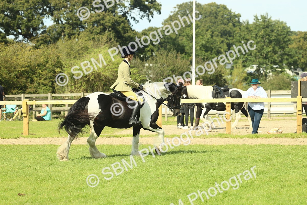 SBM_67601 - S56 - Coloured Pony Ridden