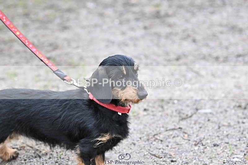 241206-144437-01151 - Naomi