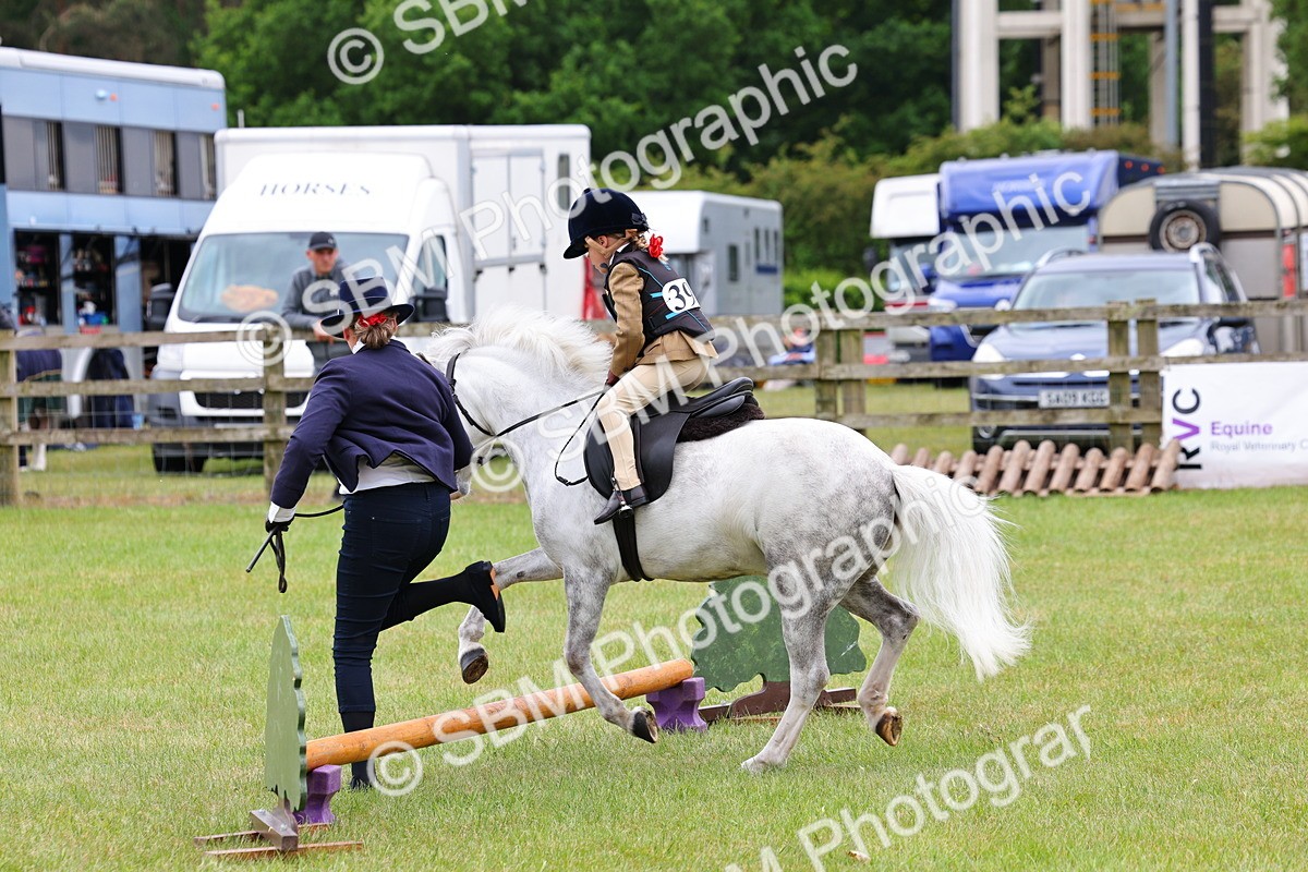 SBM_08131 - Class 42-43 - LIHS BSPS Heritage Working Sports Pony
