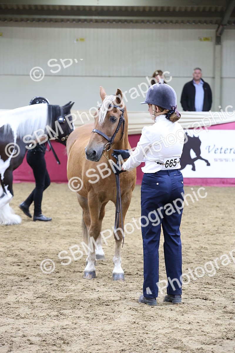 SBM_20164 - Class C - Novalty Champ