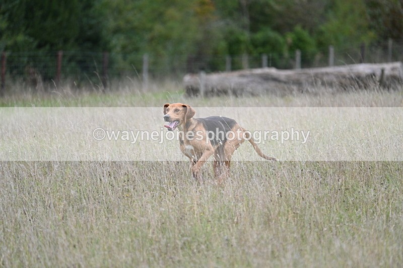 WJ7_3609 - Camera 1 Line 1