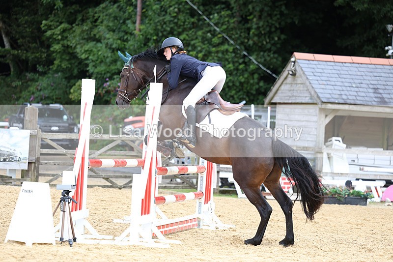 3E7A0020 - Class 9: Senior British Novice/90cm open