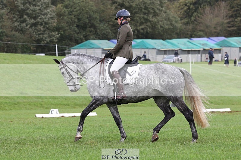 231019-152927-04895 - 553-HARLEQUIN.RABBIT-Althea.Bleekman-DR