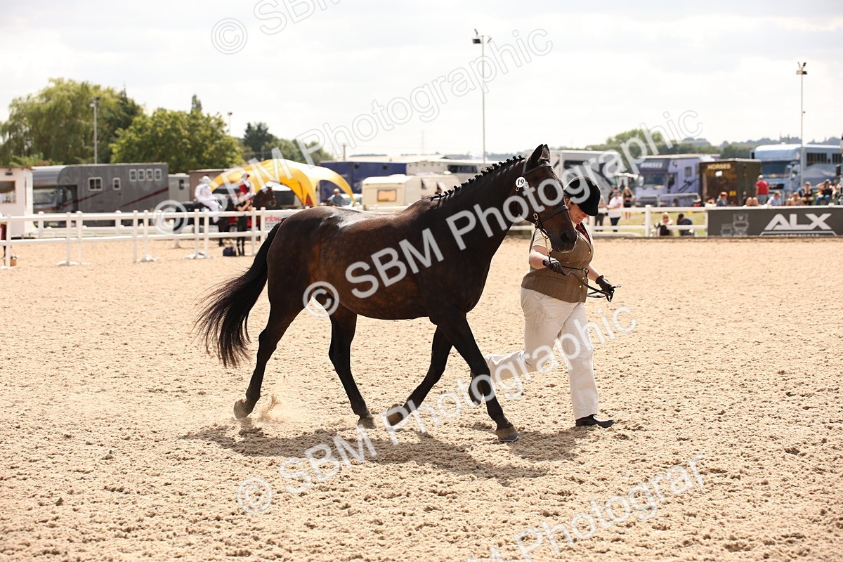 SBM_04636 - Class 20 IH Veteran
