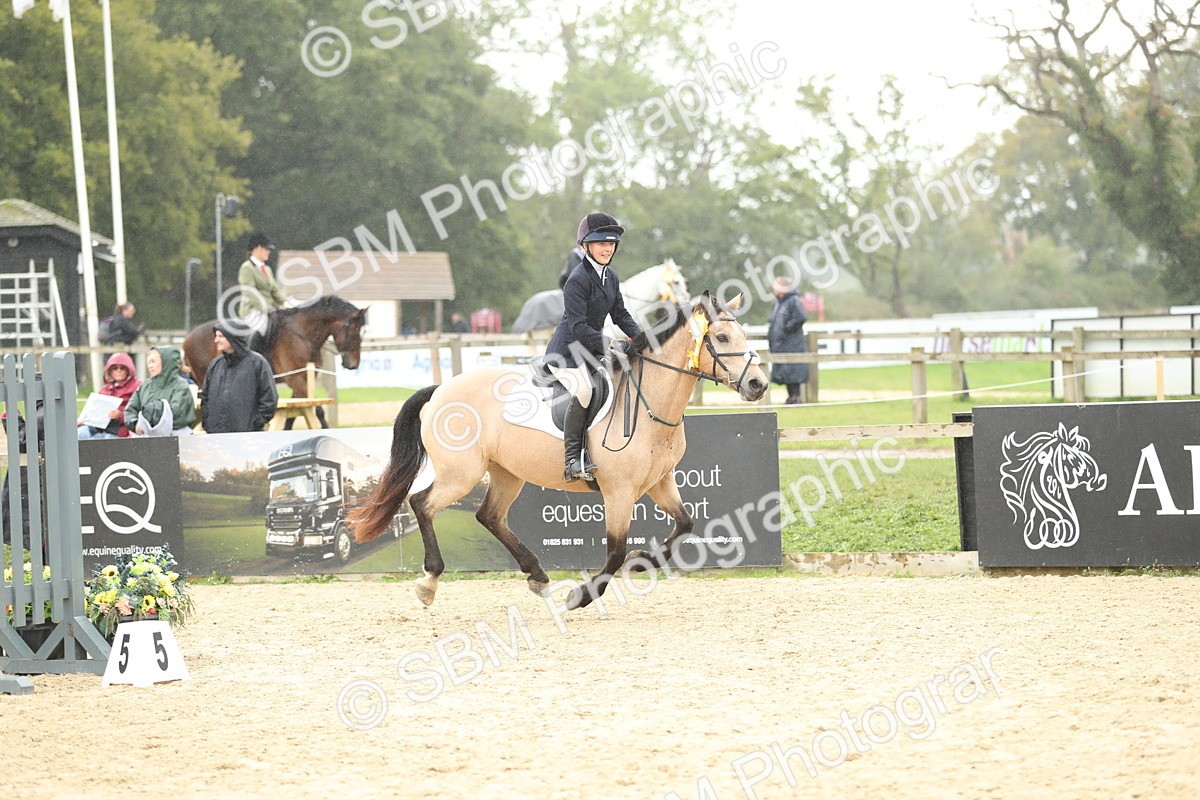 SBM_70536 - J15 - Junior Pony 70cm Championship