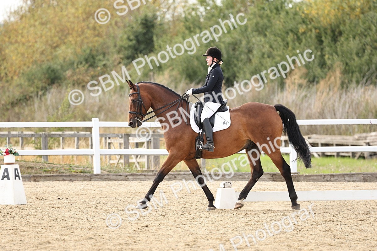 SBM_016316 - Class 10 - Advanced Medium 5