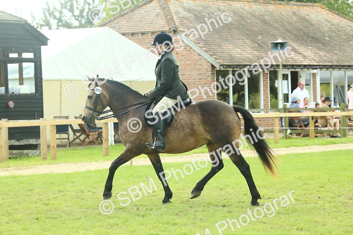 SBM_62625 - S63 - Other Coloured Horse Ridden