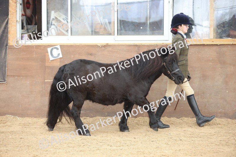 20251109-0147 - Class 8 - Young Handlers