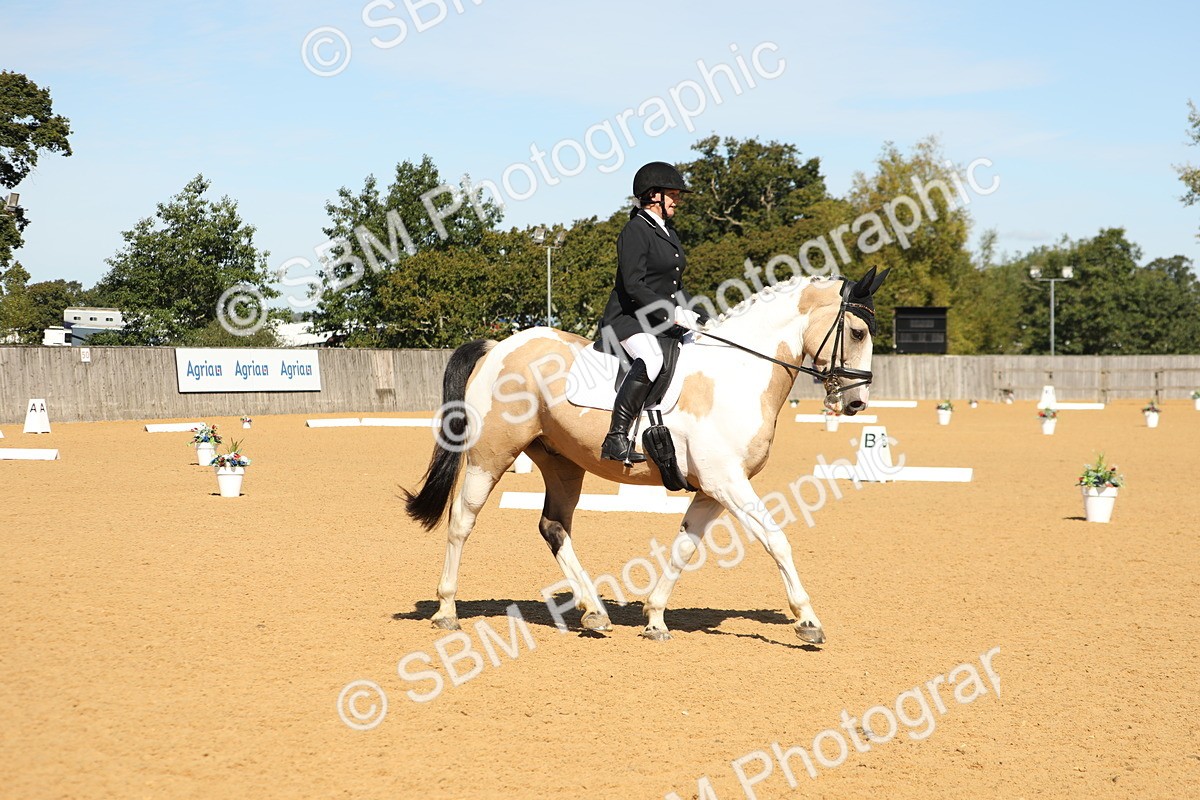 SBM_19665 - D10 - Small Tour Championship - Prelim 2