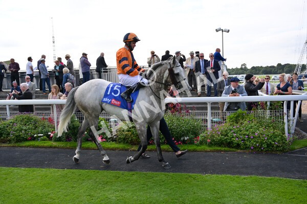 yr18082021r1-39 - Race 1 1.50pm Sky Bet & Symphony Group Stakes