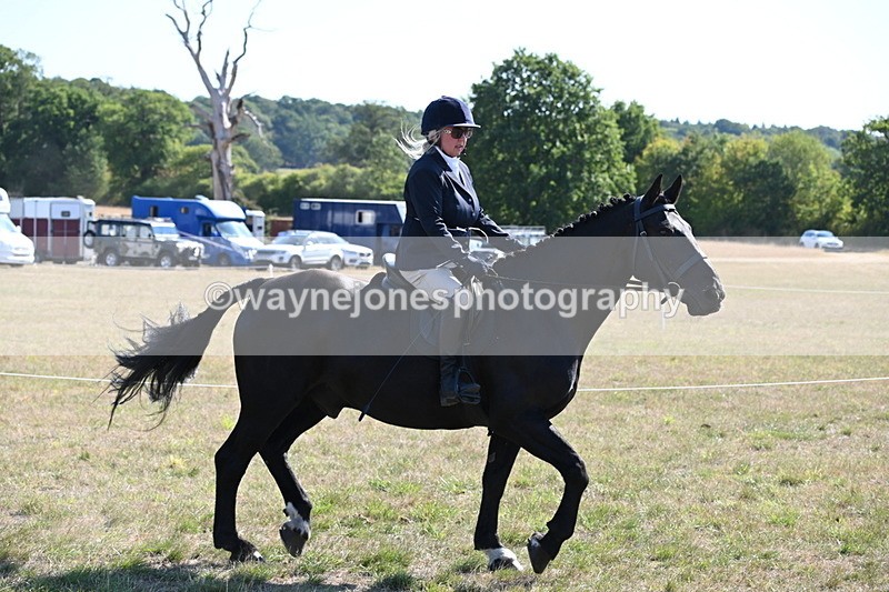 WJ6_7473 - Class 34 Judges Choice