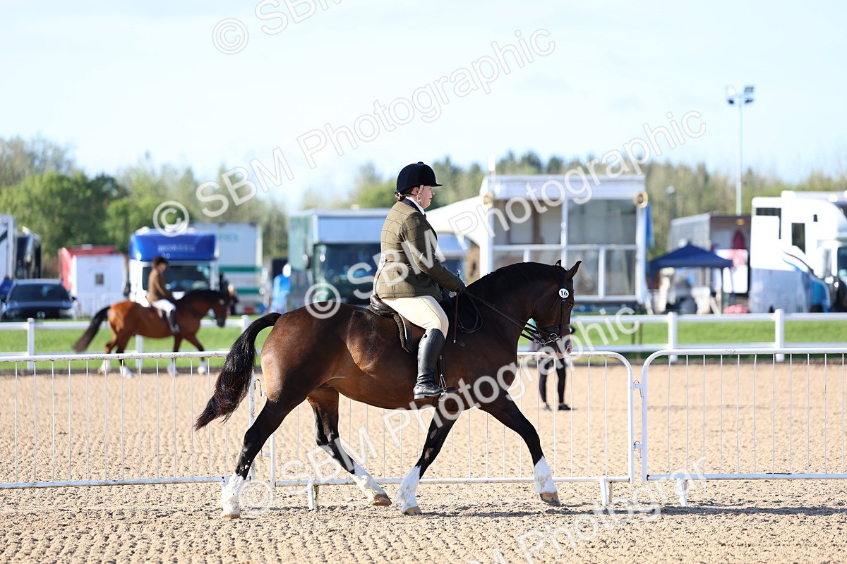 SBM_08742 - Class 302 - Ridden M&M - Large Breeds