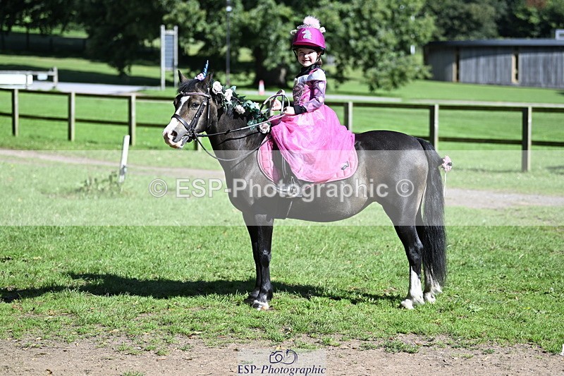 240728B-094432-00100 - Sunday Stable Shots and Fancy Dress