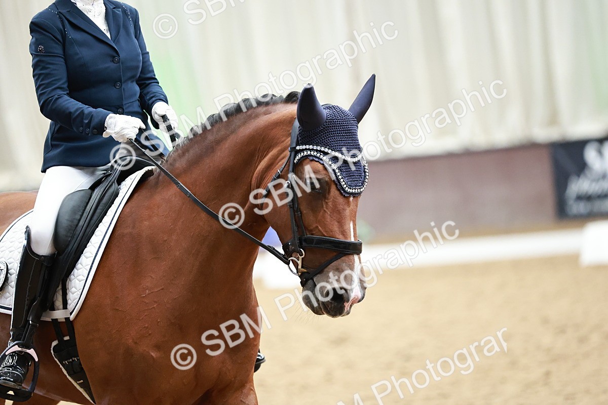SBM_014255 - Class 7 - Ele FSM Bronze 12.12.13.08