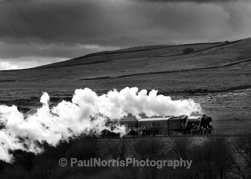  - Trains