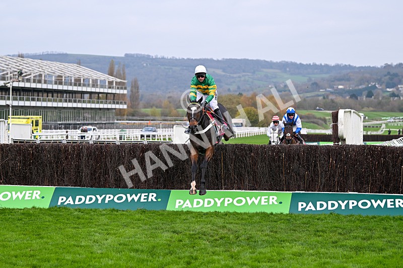 151124-Race 3-Jonbon-7696 - Race 3