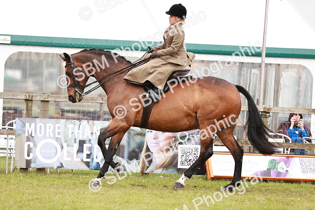 SBM_10986 - Class 81-84 - RIHS Ridden hunters Inc Ladies Hunter