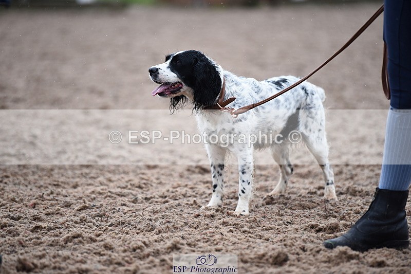 240518A-132610-01294 - Cls 8 Dog the judge would most like to take home