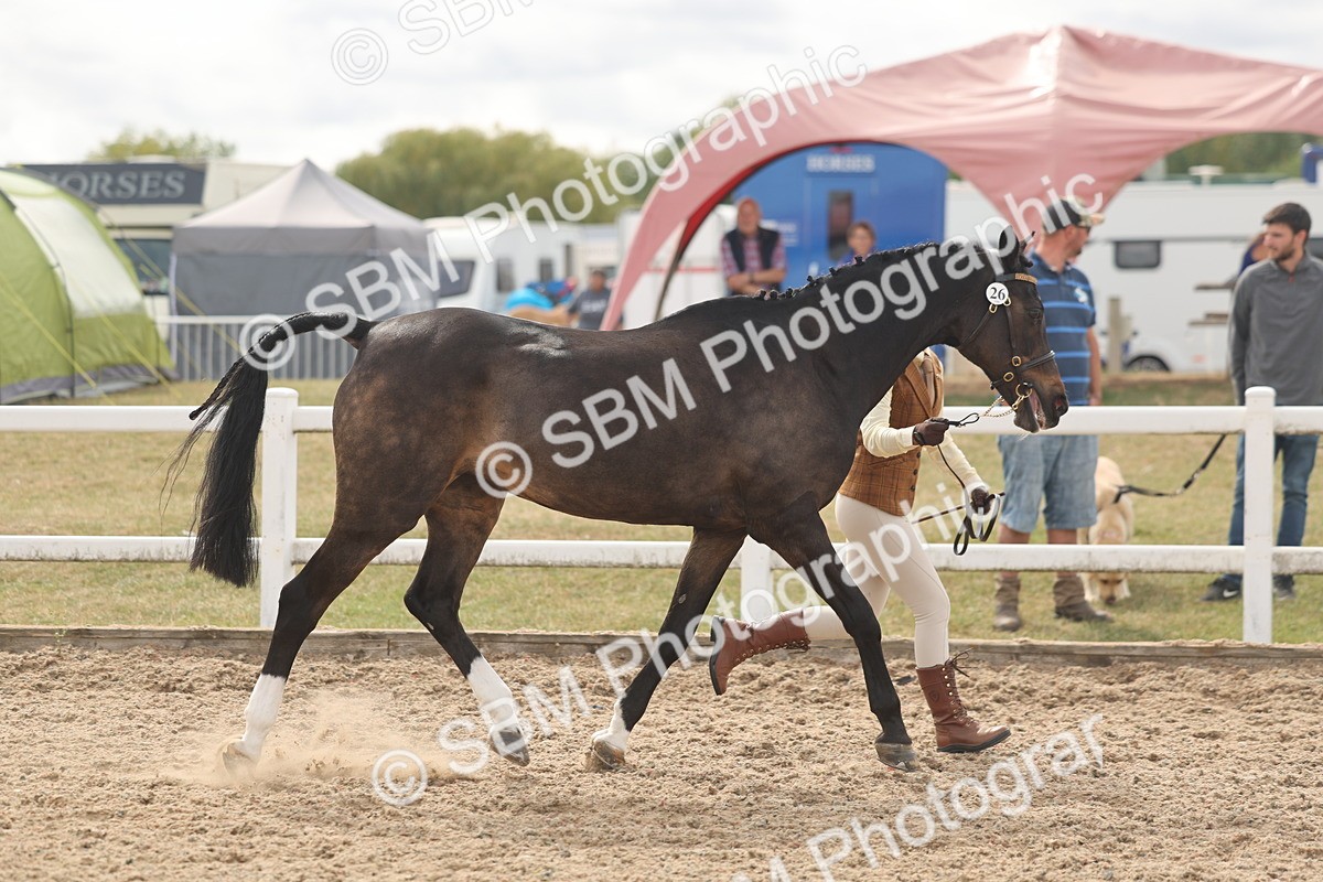 SBM_04985 - Class 20 - IH Veteran