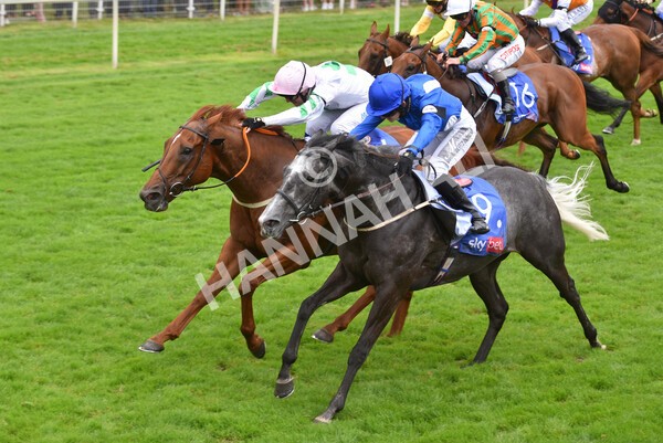 yr24072021r2-19 - Race 2 2.40pm Sky Bet Dash