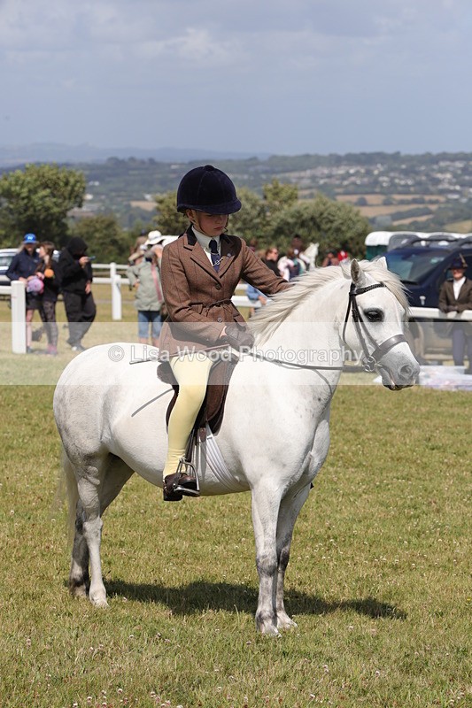 1X9A5446 - Class 37: NPS M&M First Ridden