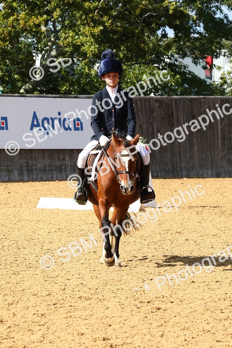 SBM_23587 - D5 - Small Tour Championshop Intro 2