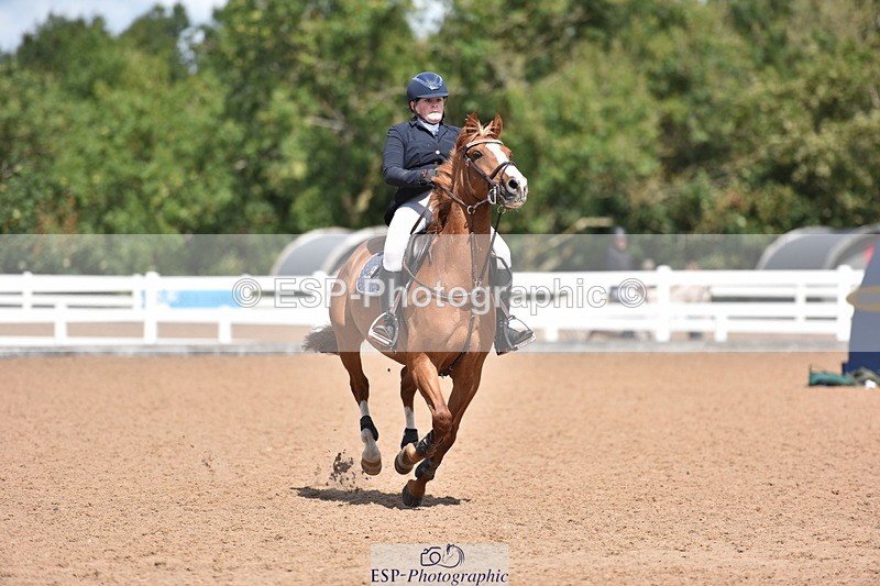 230806A-122056-01776 - Cls 19 Pony British Novice & 80cm Open