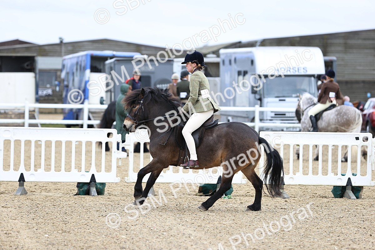 SBM_006853 - Class 29 - 30 - M&M Pure Novice Small-Large Breeds