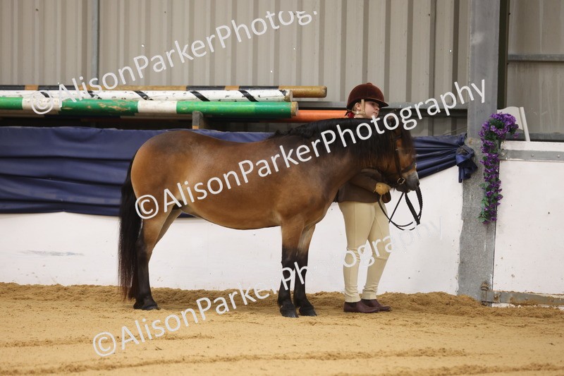 20260913-0018 - Class 121 - Young Handler 5-16