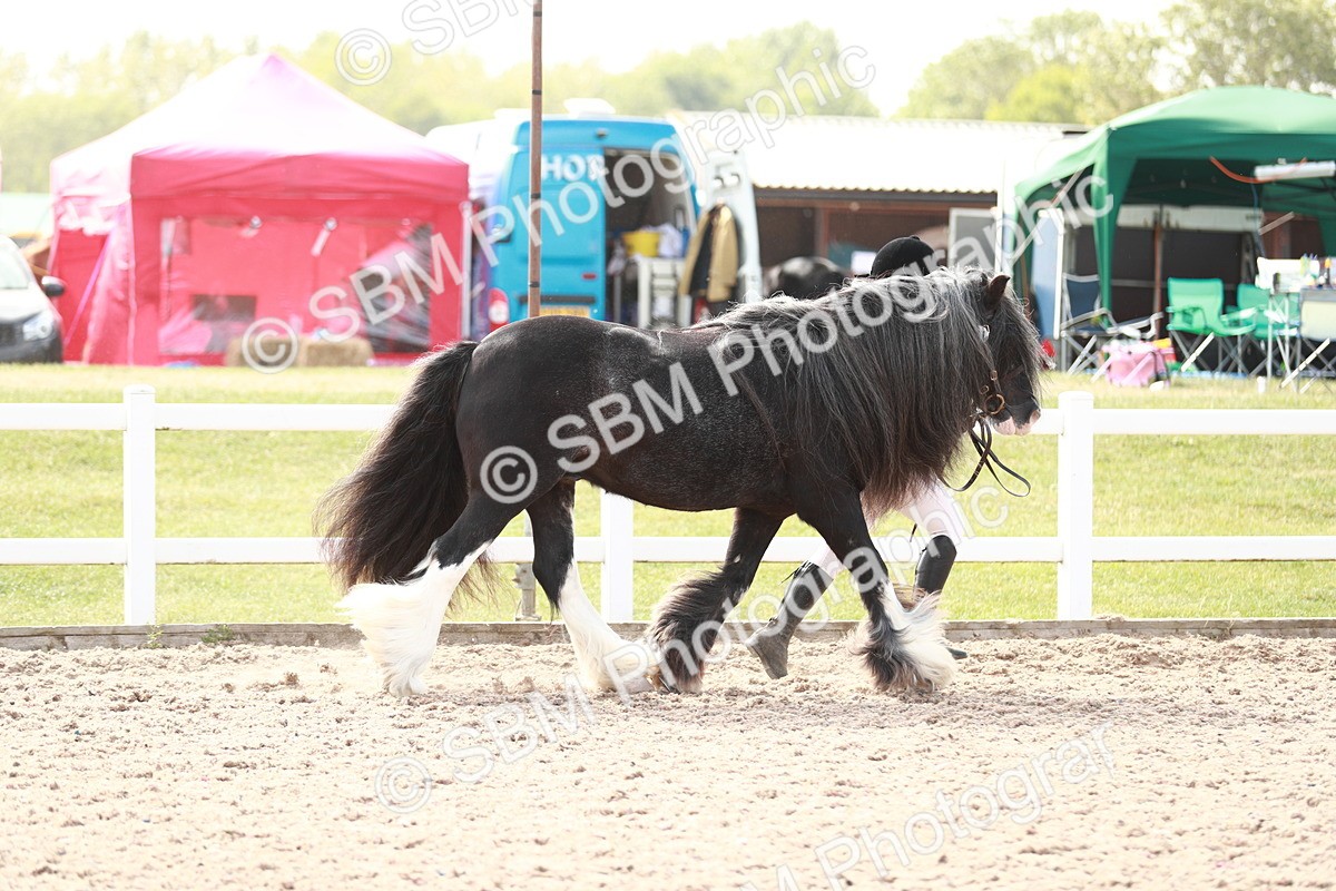SBM_13867 - Class 209 IH Veteran Pony