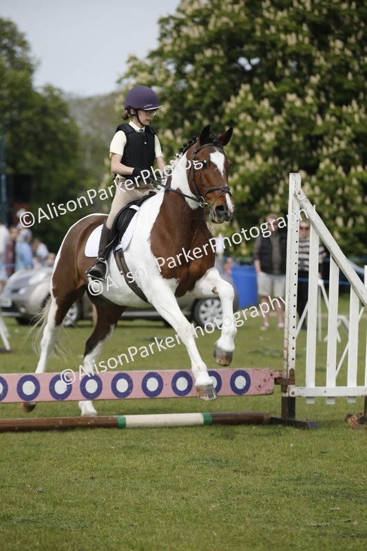 20260426-4657 - Class 5 - Hoof and Foot