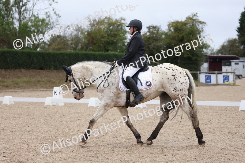 20250820-0289 - Class 9 - My Quest Prelim 3