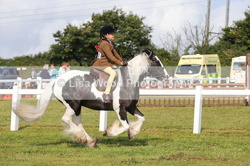 1X9A3318 - Class 28: Ridden Native/Trad Coloured Pony