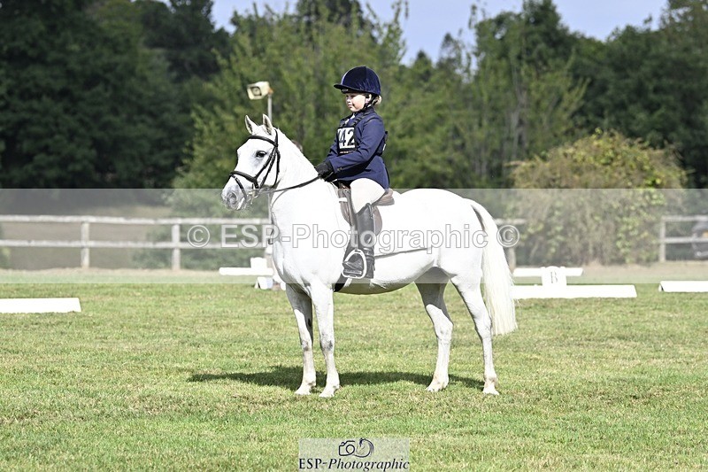 250821A-102552-14338 - DR 10.00 to 11.00