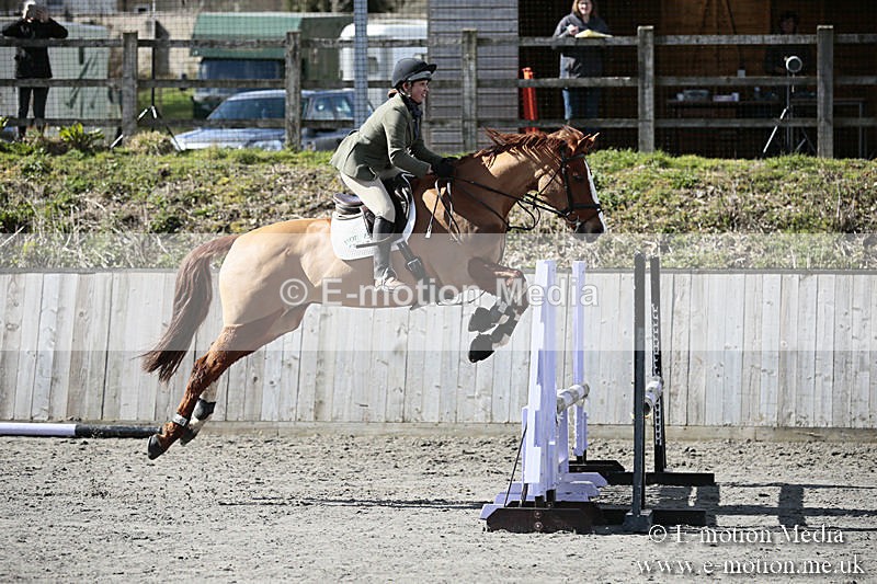 BVRC SJ 170319 390 - Bourne Valley Riding Club Showjumping 17/03/19